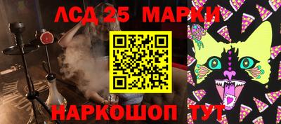 тгк Можга