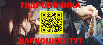 стаф Моздок