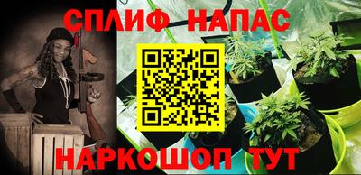 тгк Можга