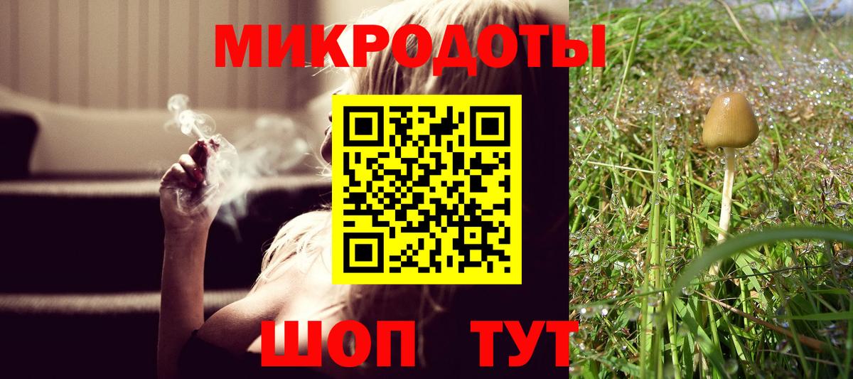 Галлюциногенные грибы MAGIC MUSHROOMS Черногорск
