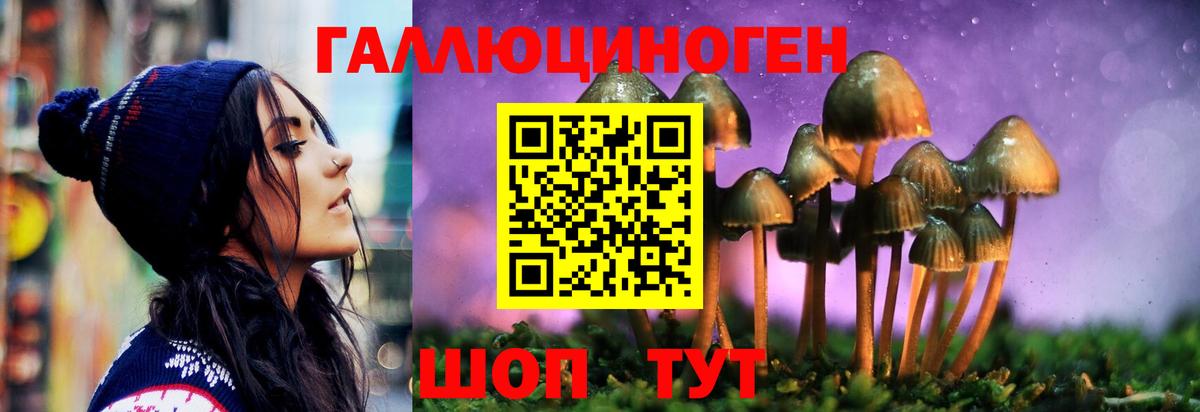 Галлюциногенные грибы Cubensis  Вход с VPN  Черногорск 